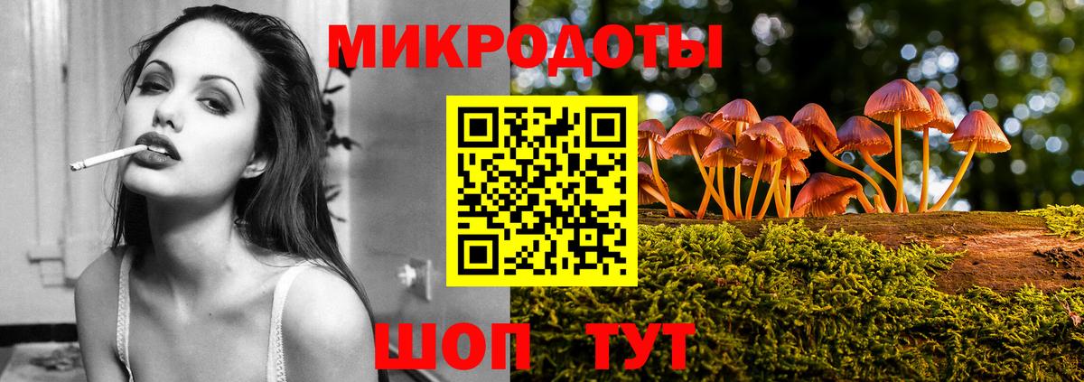 Псилоцибиновые грибы Magic Shrooms  где купить   Елец  Вход с VPN 